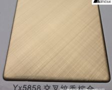 Yx5858 交叉纹香槟金不锈钢